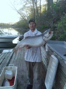 Bull trout, 29 inch fish, fishing in New York