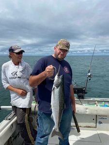 Chinook Salmon, 28-inch fish, fishing in NY