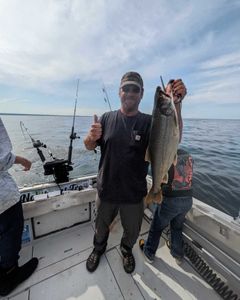 A large lake trout caught in Pulaski