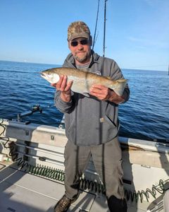 Photograph of a person fishing for a pink salmon in Pulaski