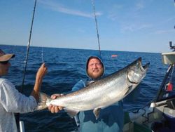 Photograph of a pink salmon, a great catch in NY