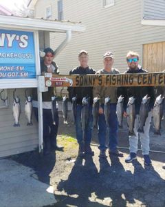 7 rainbow trout and brook trout caught in Pulaski