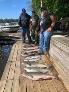 Two rainbow trout caught in New York