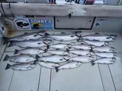 18 rainbow trout, spotted weakfish, and atlantic salmon caught in NY
