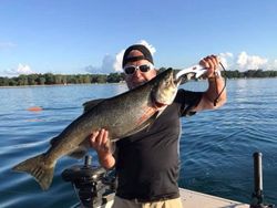 A sea trout fish caught in NY