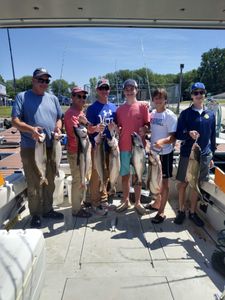 Six pink salmon caught during a fishing trip in NY