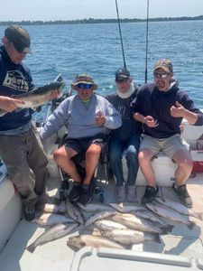 3 fish caught by 4 people in Pulaski during fishing and hunting