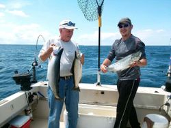 Three rainbow trout caught while fishing in Pulaski