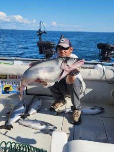 Two big lake trout caught in Pulaski