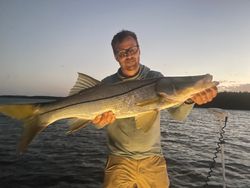 A fisherman holding a snook fish in FL