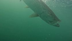 A fishing trip in FL