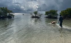 One person fishing in Key West, FL