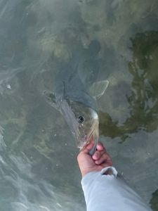 Fishing in Key West, Florida