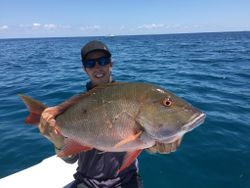 Mutton Snapper fish caught while fishing in FL