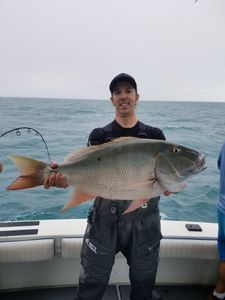 Mutton Snapper, a 37-inch fish caught while fishing in key west fl