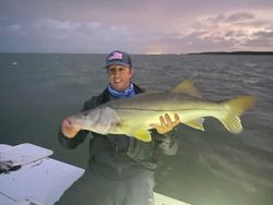 Snook, a 36-inch fish, caught while fishing in Key West, FL