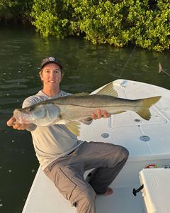 Snook fish caught while fishing in key west fl
