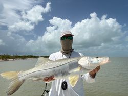 Snook fish caught in FL