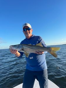 Snook fishing in Key West, FL