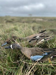 Scenic landscape with TX backdrop