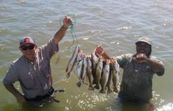 4 fish caught in Port O'Connor