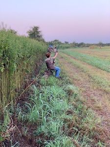 Scenic landscape in TX