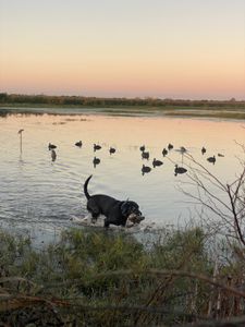 Fishing adventure in TX