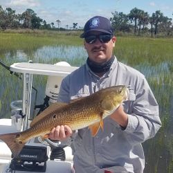 Shallow water Fishing for Redfish