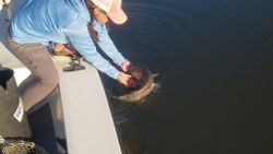 Flood Tide Redfish Fishing