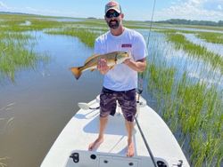 Tailing Redfish in Shallow Water, FL