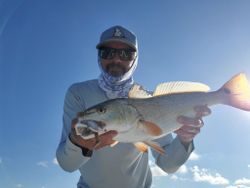 Big Redfish from Inshore waters, FL