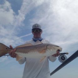 Redfish caught in FL