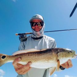 A redfish measuring 30 inches caught while fishing in St. Augustine