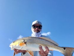 Redfish caught in St. Augustine