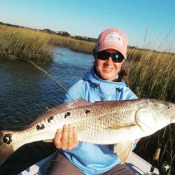 Redfish caught in St. Augustine