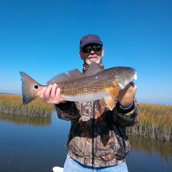 Redfish caught while fishing in St. Augustine