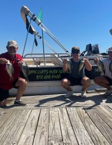 Four crappie fish caught in Alba, enjoyed during fishing cruises