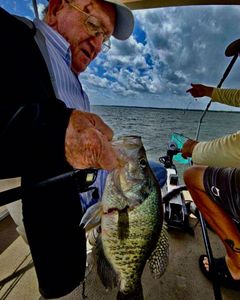 Image of a white crappie fish caught in TX