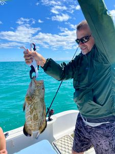 reeled in a nice Grouper from Key Largo, Fl trip