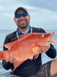 Mangrove Snapper from Key Largo, Fl