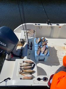 great fishing trip at Key Largo, Fl