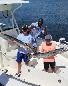 Two great barracuda caught while fishing in Florida