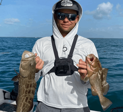 2 black grouper fish caught while fishing in Key Largo