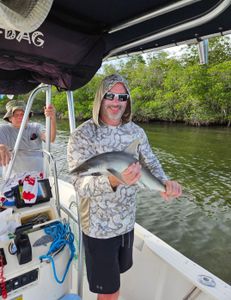Blacktip Shark, 34-inch fish caught while fishing in FL