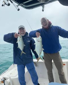 2 blue runner fish caught while fishing in Key Largo