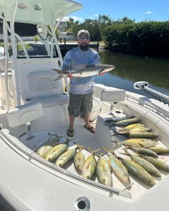 Cobia and Blue Runner fish caught by person fishing in Key Largo
