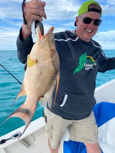 Angler fishing in Florida