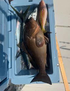 Two fishing rods on the beach in Key Largo