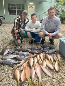 9 grey triggerfish caught while fishing in Key Largo
