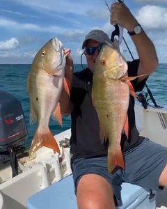 Two mutton snapper fish caught in FL